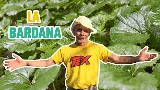 GIOVA LOVES NATURE 🌳 - Ep.19 - BARDANA, l'inventrice del velcro