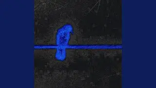 LO QUE NO VEO