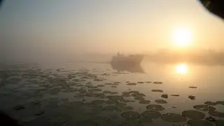 Wetland Cruises Corroboree Billabong - Sunrise cruises