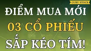 🔴 ĐIỂM MUA MỚI! 03 CỔ PHIẾU SẮP KÉO TÍM!| GURU STOCK