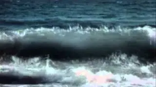 Yellowbirds- The Honest Ocean