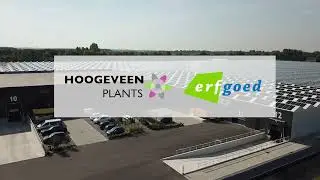 Samenwerking Hoogeveen Plants en ErfGoed over aanleg teeltsysteem, irrigatiesysteem en watertechniek