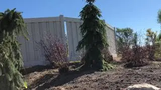 Wednesday's With Wayne- Design Process to Install