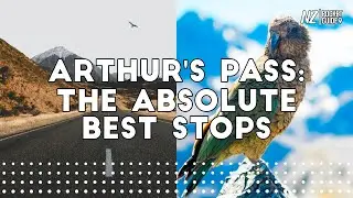 The 10 Best Things To Do in Arthur's Pass (Best Pitstops!) - NZPocketGuide.com