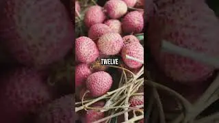 Lychee&rsquo;s Royal Secrets: Health Benefits Fit for Emperors!#shorts