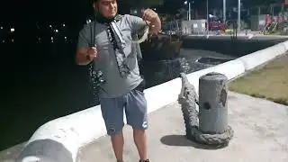 Pescando en boca del rio ver. constantinos y machetes