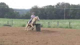 The Dream Dasher