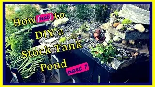 How (NOT) To DIY A Stock Tank Pond On a Budget