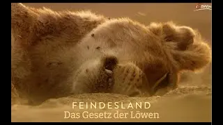 Das-gesetz-der-l&ouml;wen-feindesland-hd(1/3)