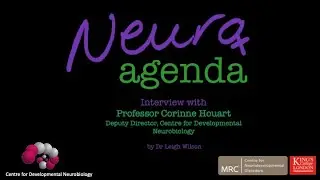An interview with Professor Corinne Houart for NeuroAgenda