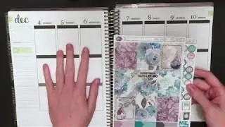 Plan With Me ft. Aria's Daydream