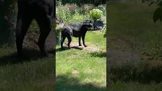 &ldquo;I love my tv&rdquo; on all platforms!! #indiemusic #briangriffith #alexg #elliottsmith