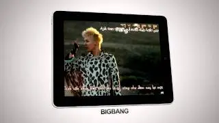 Brand new YGVN 2011