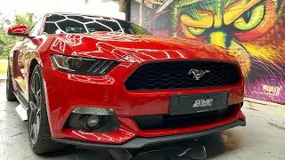 Mustang Body Sticker