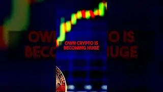 Global Political Shifts Reshaping Cryptocurrency Investment