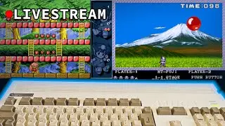Kawaii Amiga | Rod Land i Pang