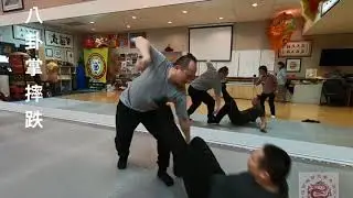 八卦掌摔跌法  Some Bagua takedowns