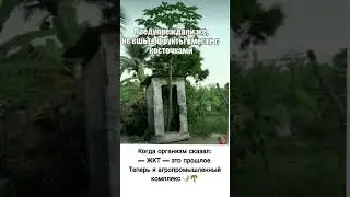 Переварил&hellip; с прибылью#юмор#мем#прикол#рекомендации#comedy#ржака#топ#shorts#trending#humor#funny