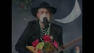 pinksnail | Live in Concrete