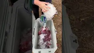Hunting Season | Saving Money on Grass Fed Meat on the Homestead #shorts #youtubeshorts #deerseason
