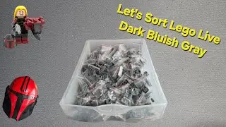 Let's Sort Lego Live Dark Bluish Gray