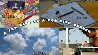 A Few Days in my Life | PCB 11th Grader | Productivity, lifestyle, studying | #studyvlog #study 