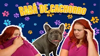 BABÁ DE CACHORRO!