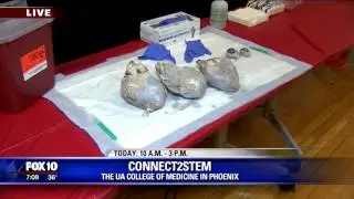 University of Arizona Helping Fuel Kids Interest In Science