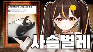 롤  했다면 한번 쯤 은 봤을 만한 사진