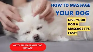 How to Give Your Dog a Relaxing Massage | 20-Minute Tutorial