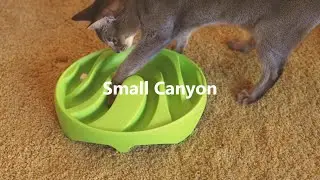 Elevated Slow Feeder Bowl 'SMALL CANYON' _ For Cat & Small Dog (#IDEA Design Award #MONDOMIOPET)