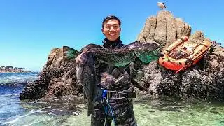 Carmel and Pacific Grove Spearfishing June 2022 - Caught a nice Blue Lingcod