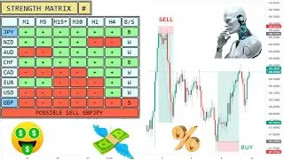 how to use currency strength meter to trade the  forex market profitably