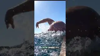 The most important open water swimming skill #swimming #gibraltar