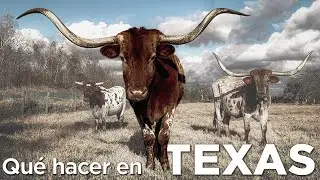 Qu&eacute; hacer en Texas | 10 imperdibles