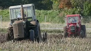 Munktells BM20 Working Hard in The Field Ploughing w/ 2-Furrow Plough | Swedish Agriculture