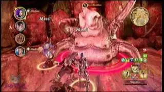Dragon Age Origins - The Brood Mother