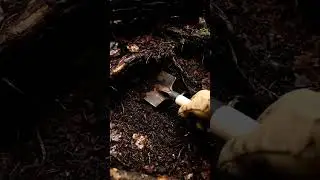 Treasure Hunting       #TreasureHunting #UnderwaterTreasure #LostGold