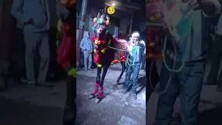 horse emotional dance 🥺🥺