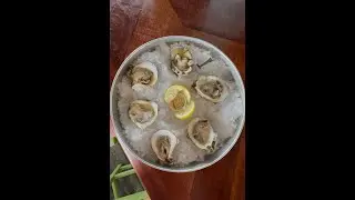National Oyster Day at Virginia's On The Bay