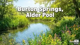 A day on Alder Pool for mixed species. Burton Springs fishery.