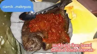 mukbang ikan bawal goreng  jumbo terenak | jakarta street food | asmr