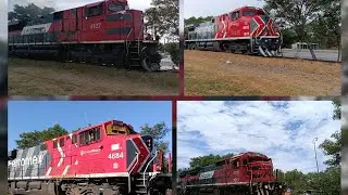 Movimiento ferroviario por Ciudad victoria