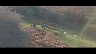 Snowdonia Donkeys Promotional Video