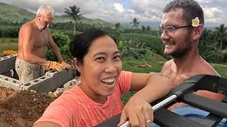 Oh no, our cow went wild | what do we give to our chickens | building vlog
