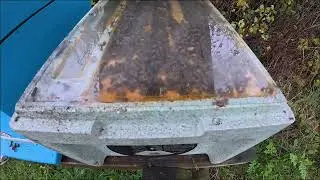 6 Frame Overwintered Langstroth Nucs