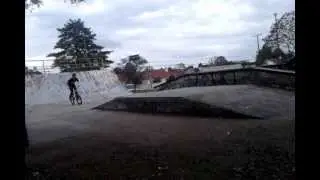 nosewhip delta