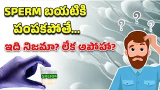 If SPERM is not released | What Happens if You Don't Ejaculate | Neogenetic Homeopathy