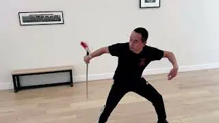 Yang Style Qing Ping Jian 杨氏青萍剑老四段之 第四段