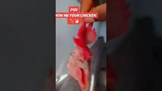 My Easter Chicken #comedy #funny